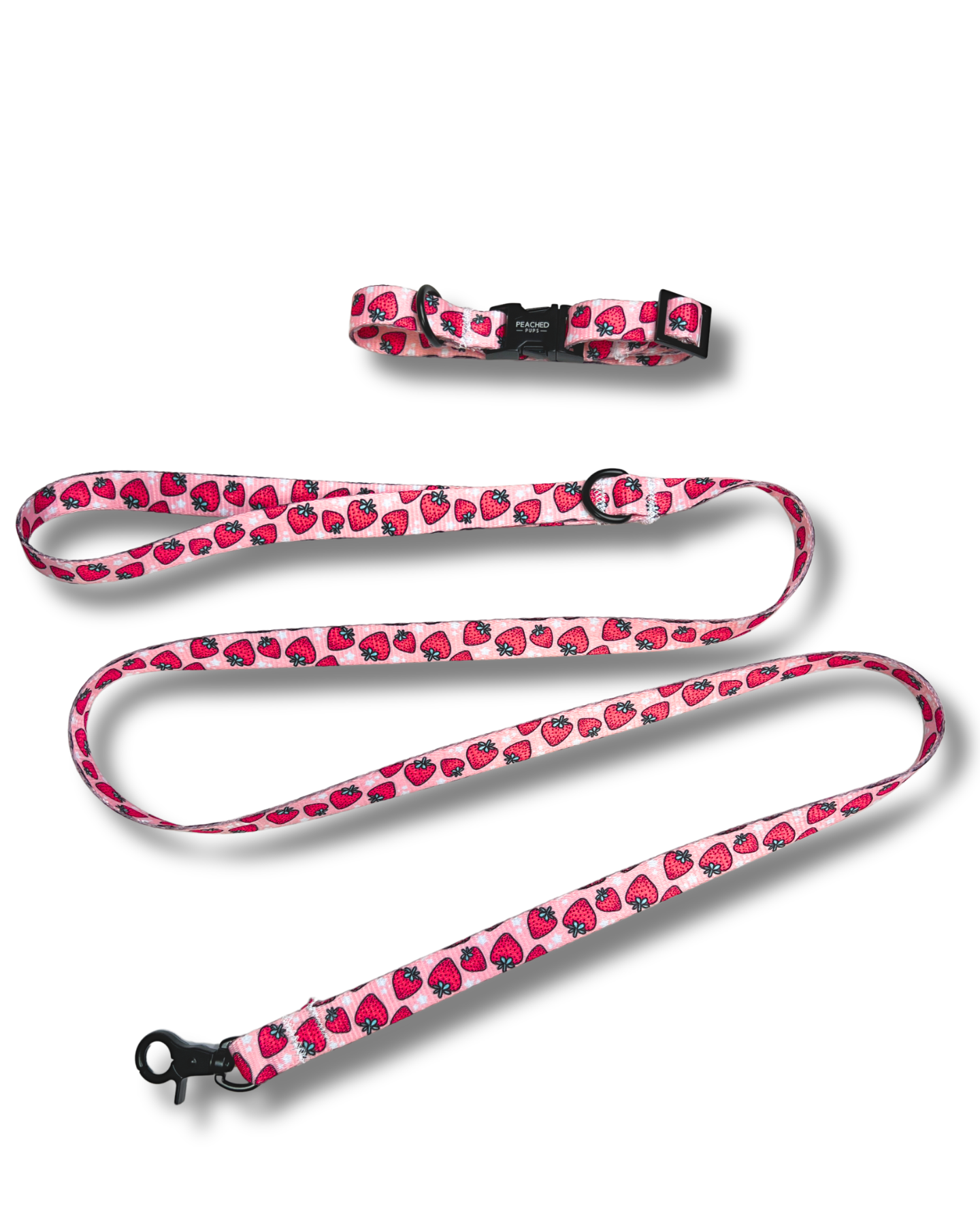 Strawberry Fields Leash