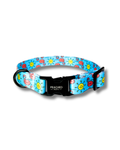 Flocktail Hour Collar