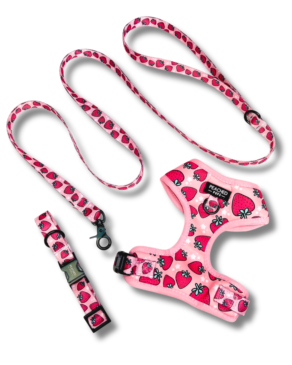 Strawberry Fields Leash