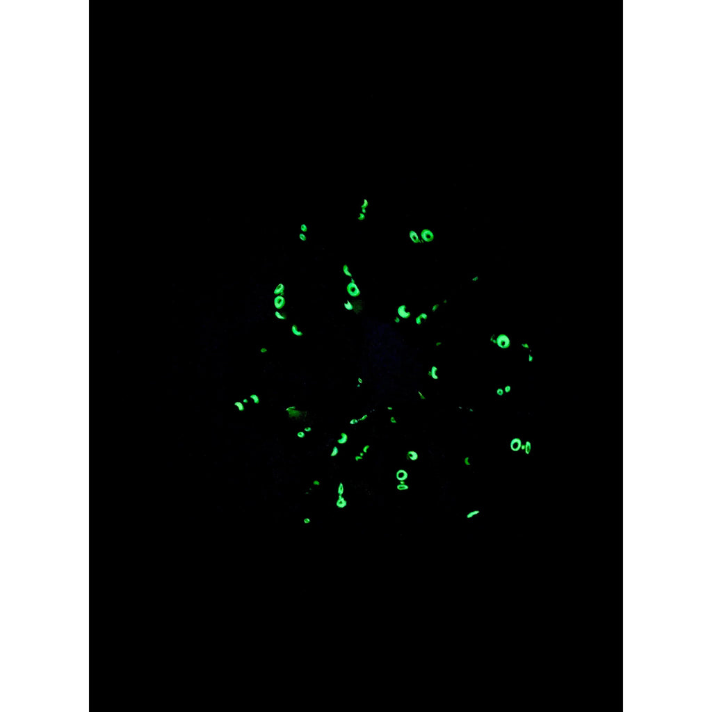 Glow in the Dark Spiderweb Halloween Scrunch