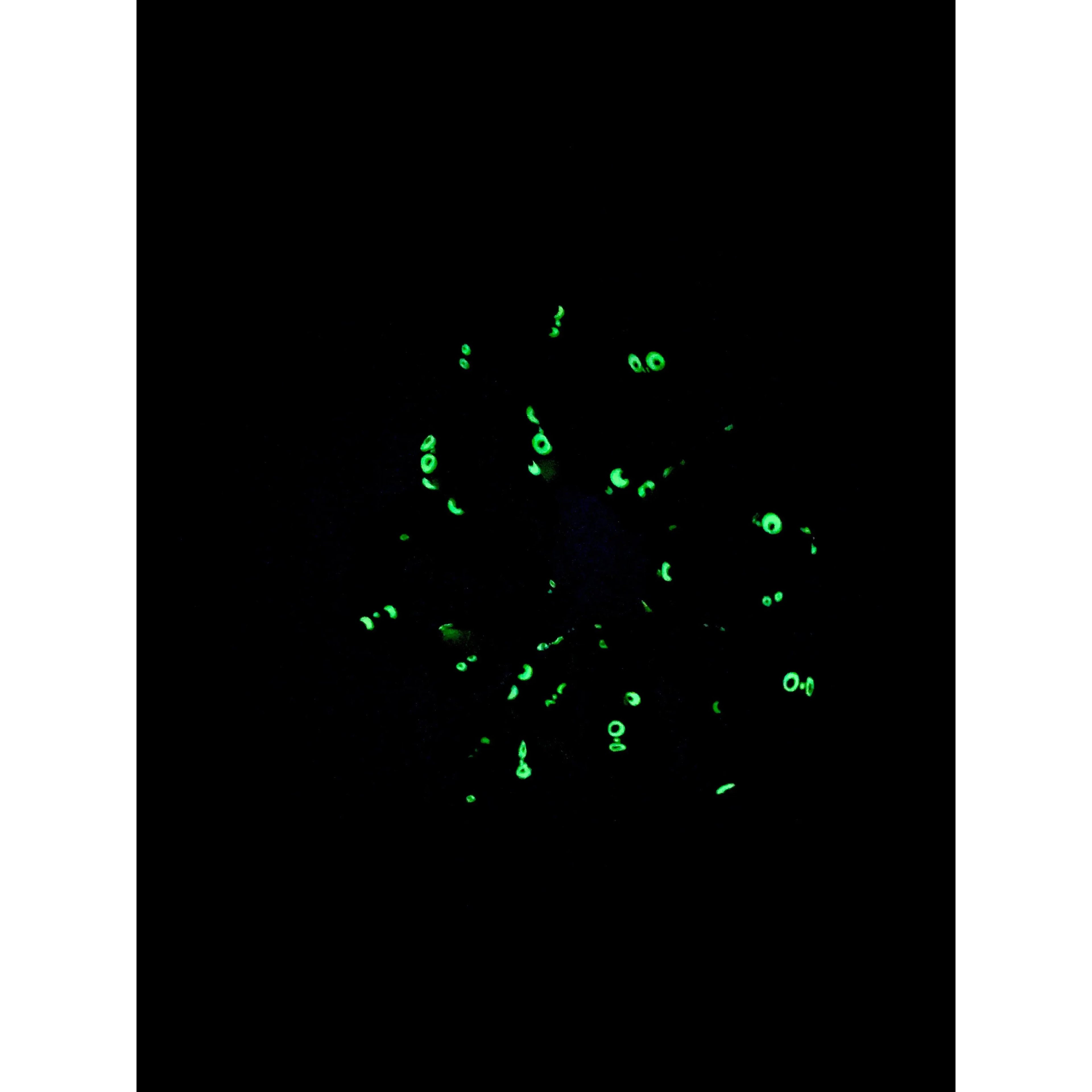 Glow in the Dark Spiderweb Halloween Scrunch