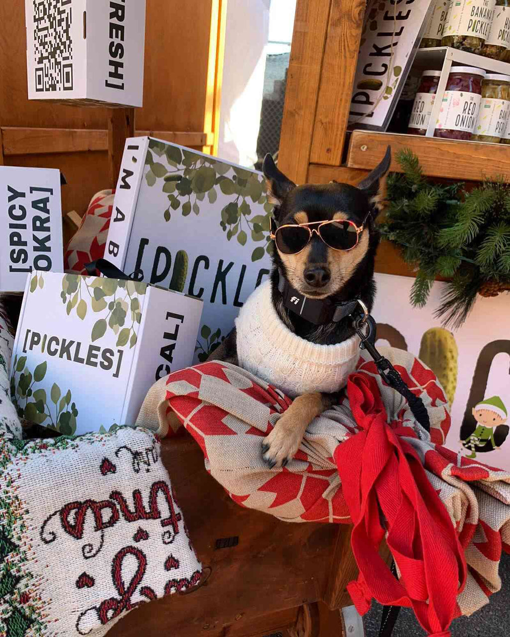 3-Jar Gift Box — Pickle Party Pack