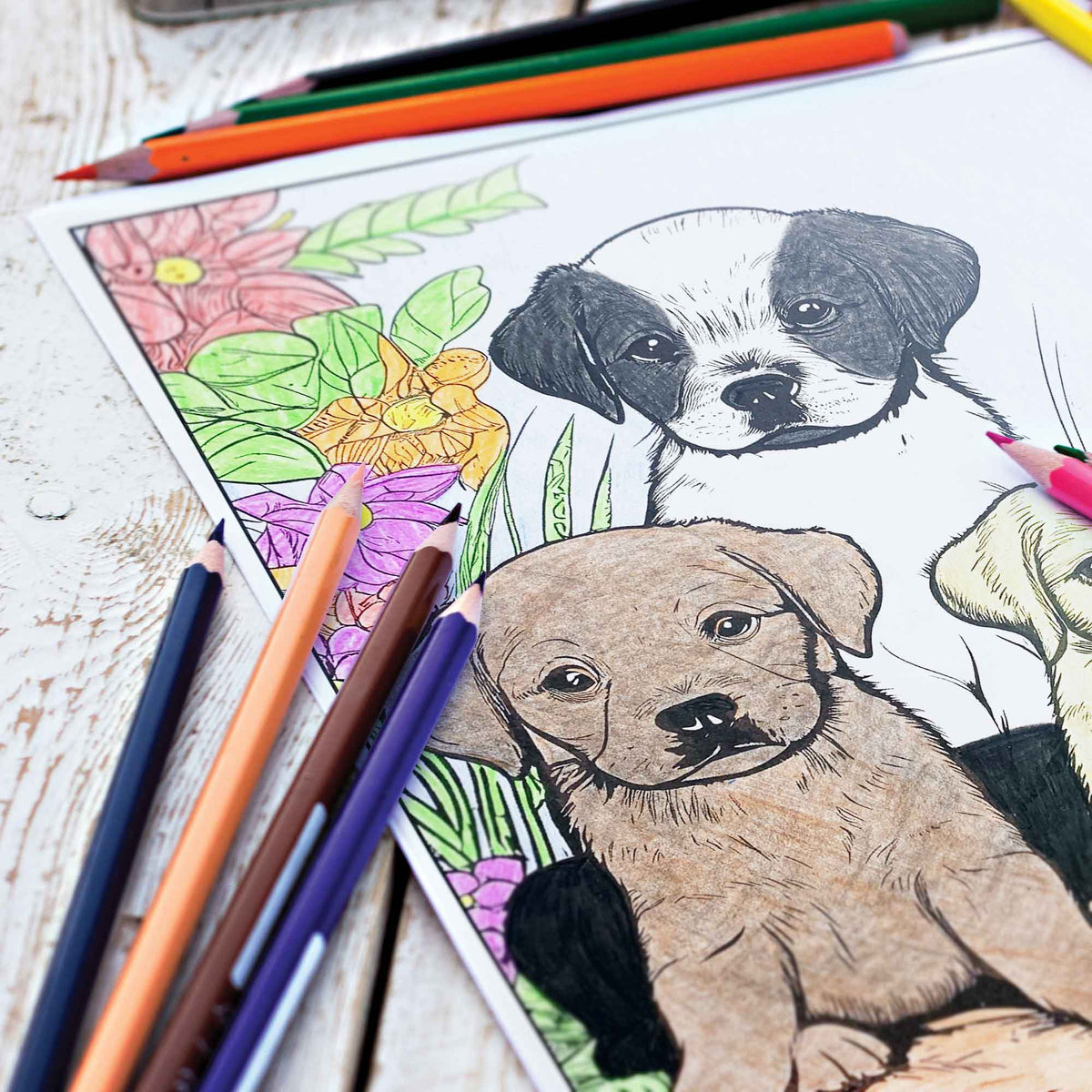 Canine Colors Colored Pencil Set for Dog Lovers