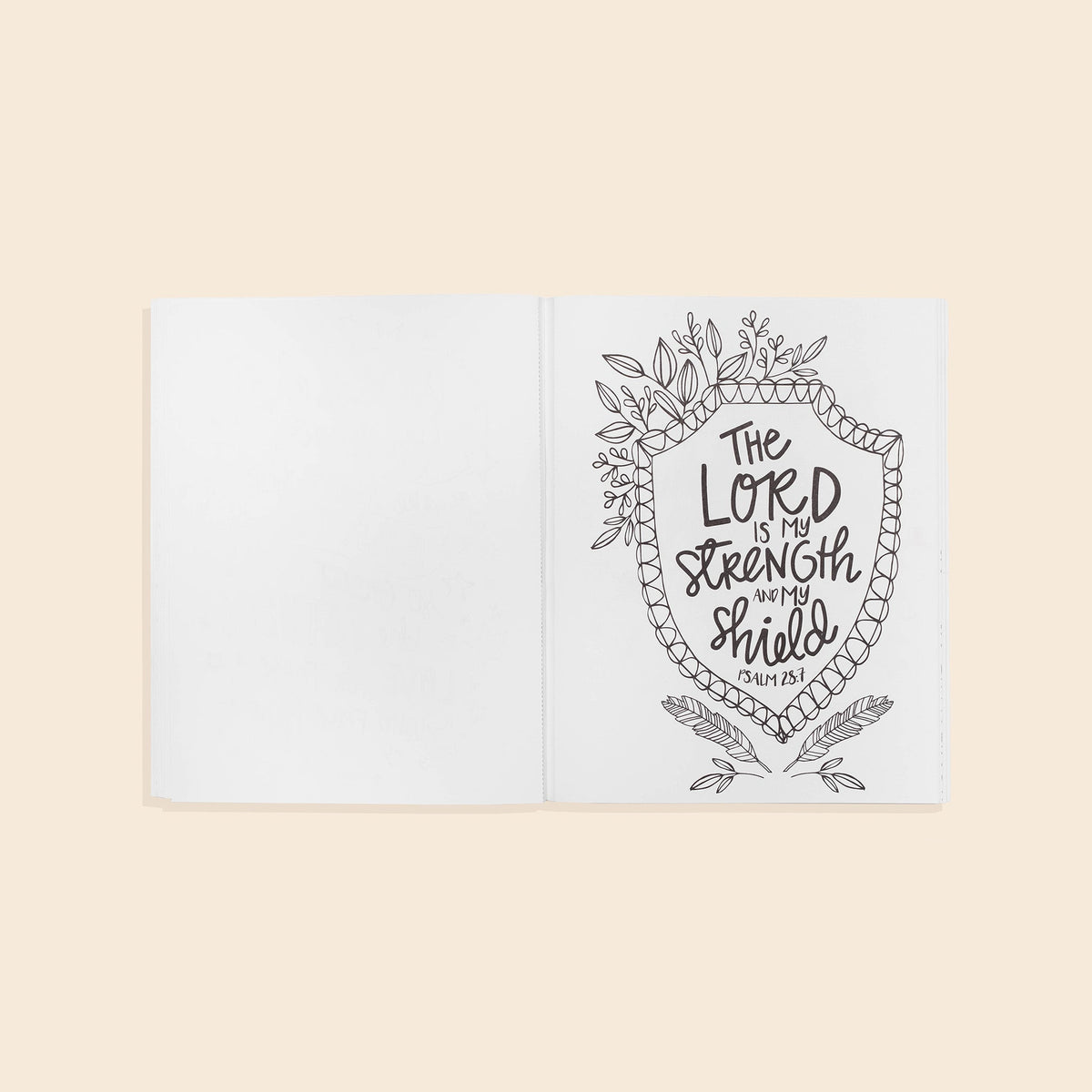 Beauty in the Bible 2