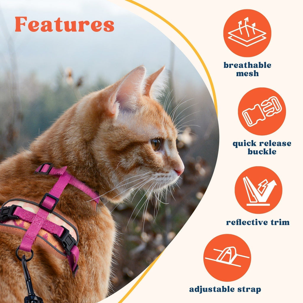 Cat Harness and Leash Set