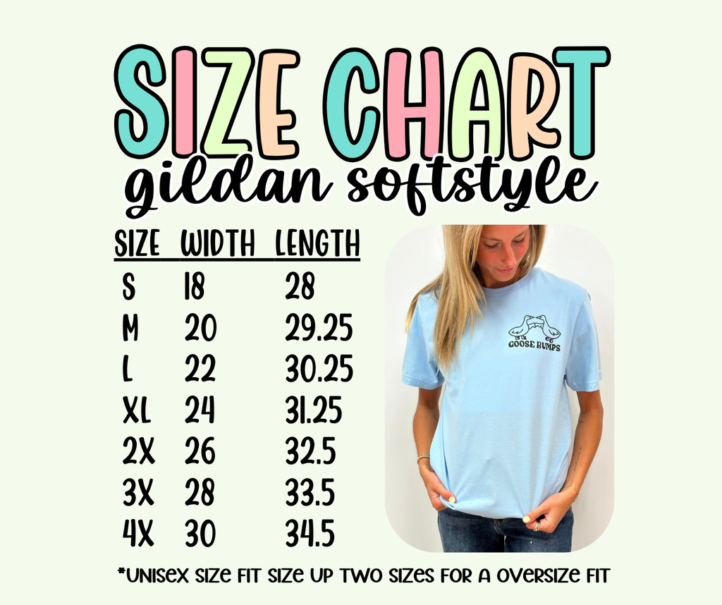 Colorful Checkered CHEER - youth and adult tee, sweatshirt or hoodie