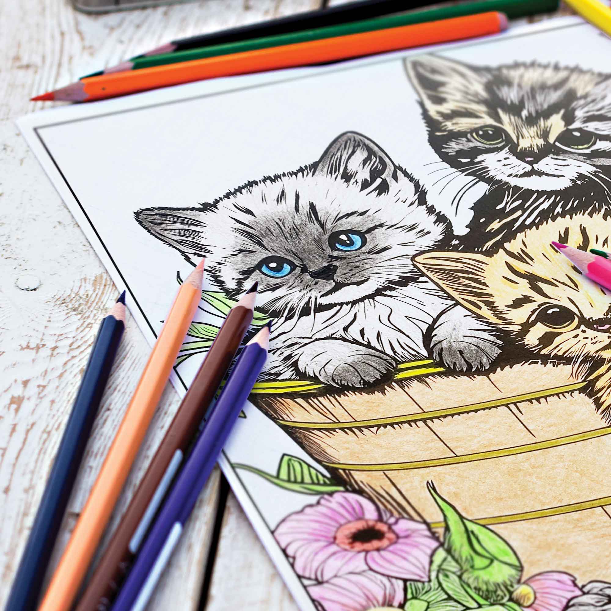 Kitty Colors Colored Pencil Set for Cat Lovers