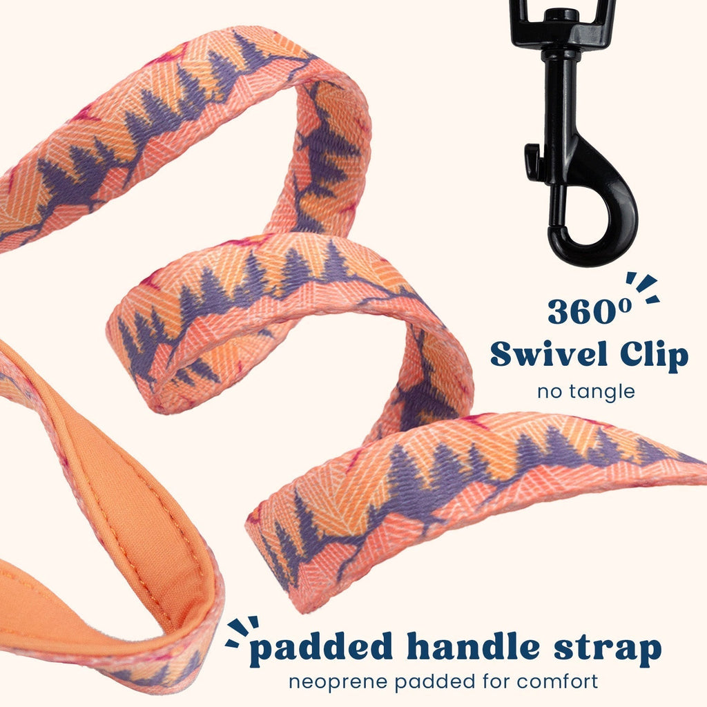Cat Harness and Leash Set