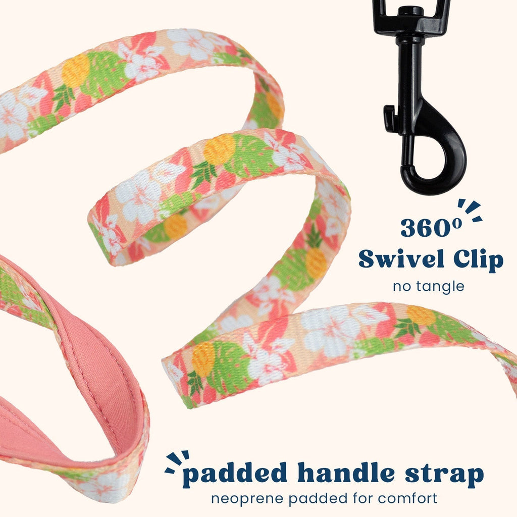 Cat Harness and Leash Set