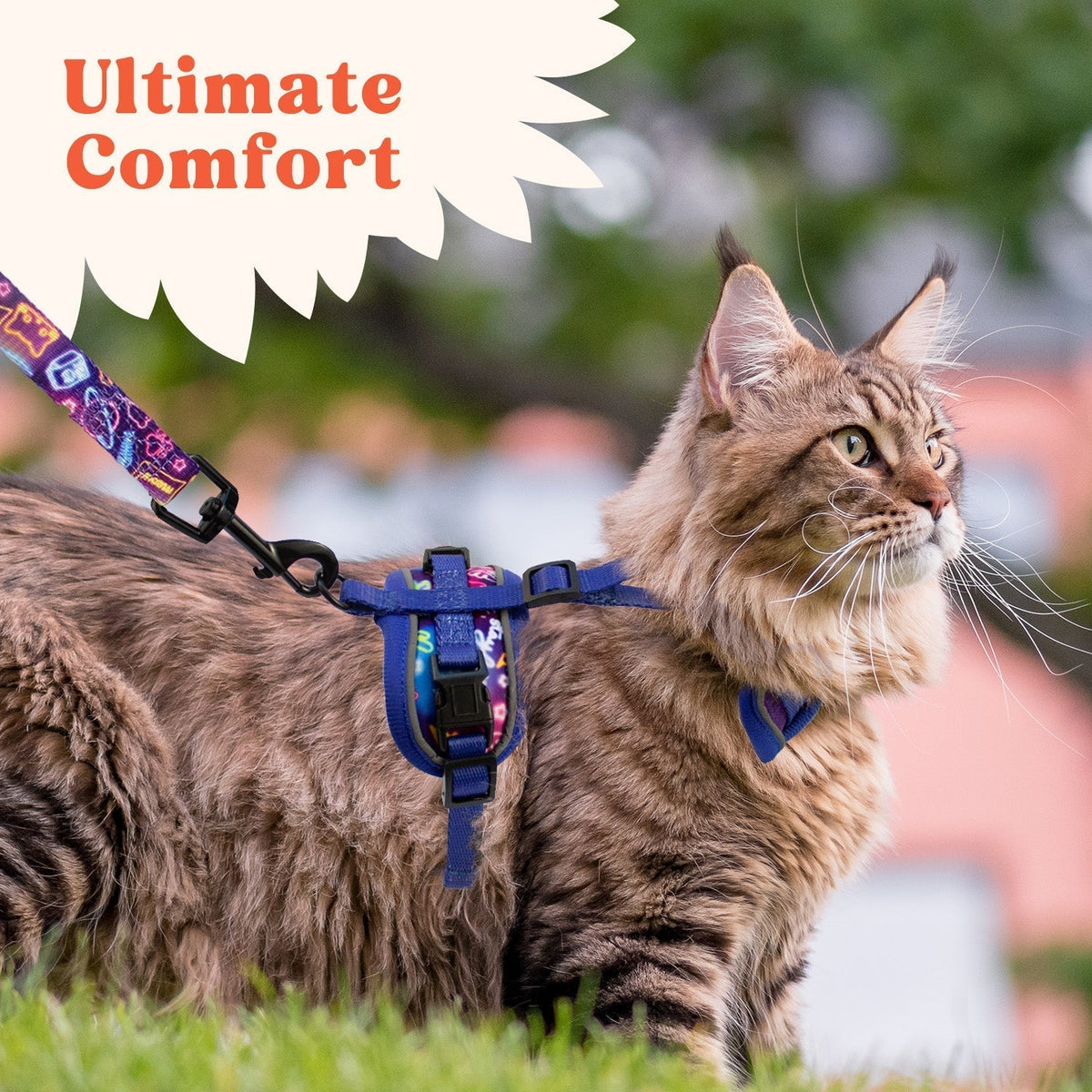 Cat Harness and Leash Set
