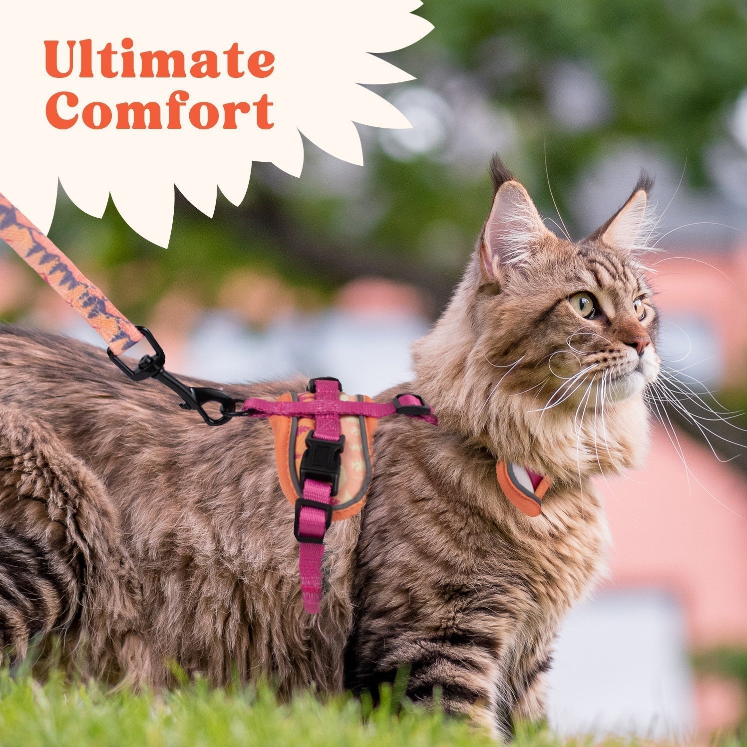 Cat Harness and Leash Set