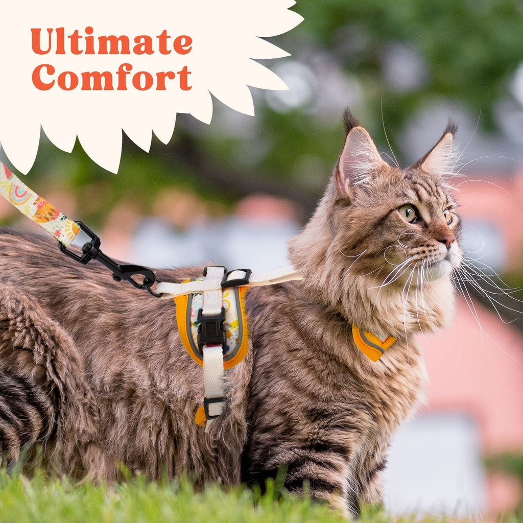 Cat Harness and Leash Set