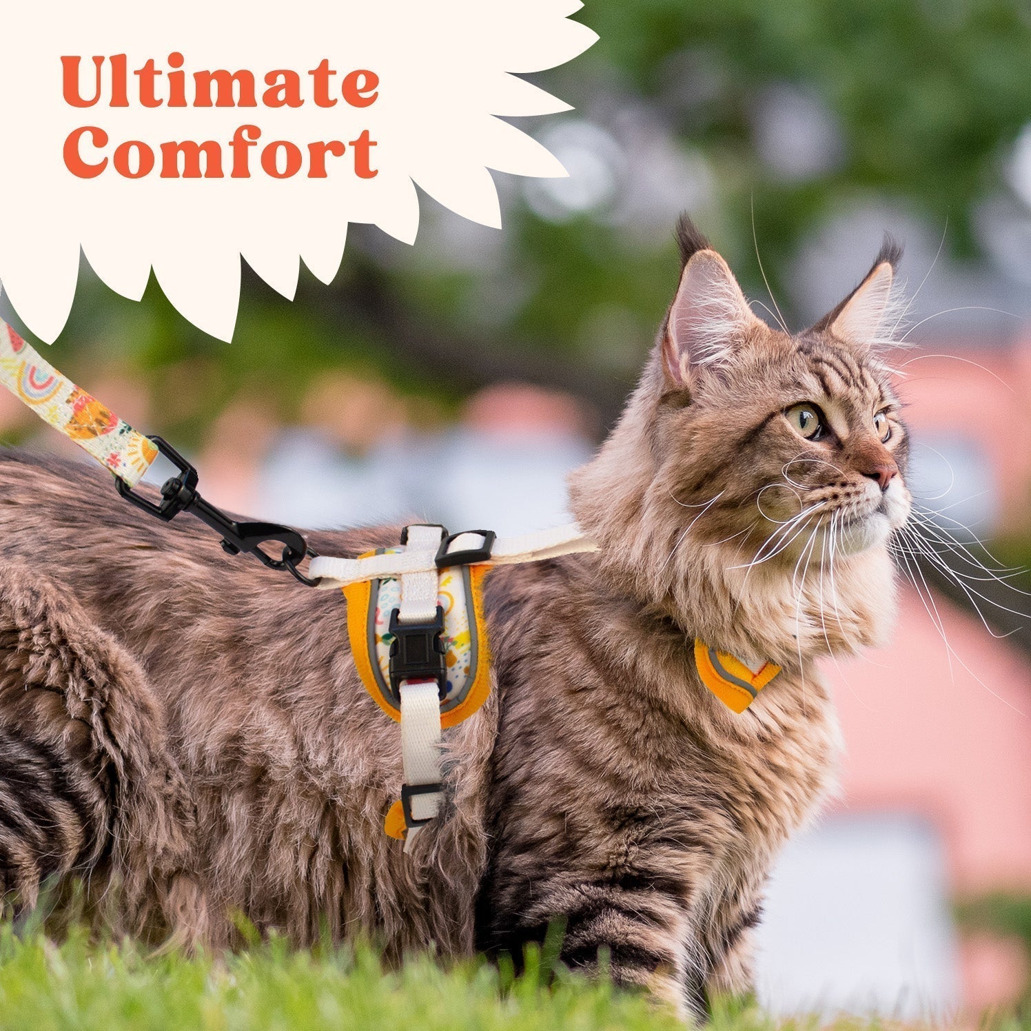 Cat Harness and Leash Set