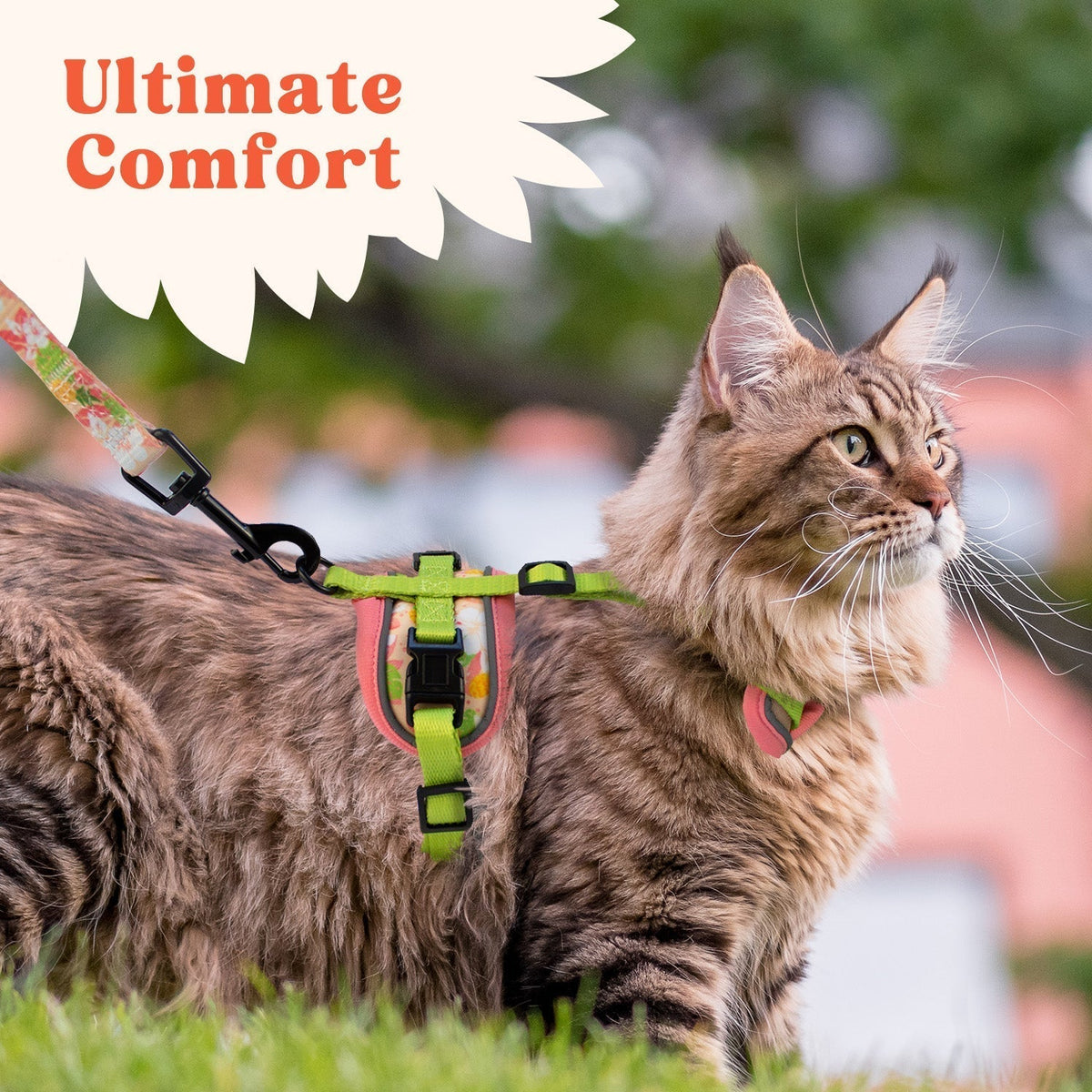 Cat Harness and Leash Set