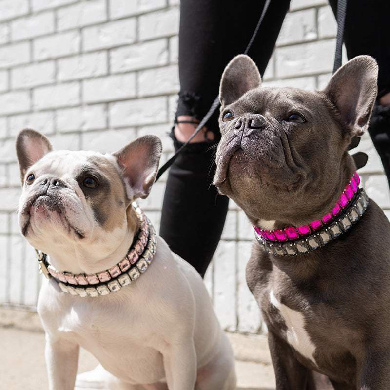 Dog Collars Boutique Rhinestone