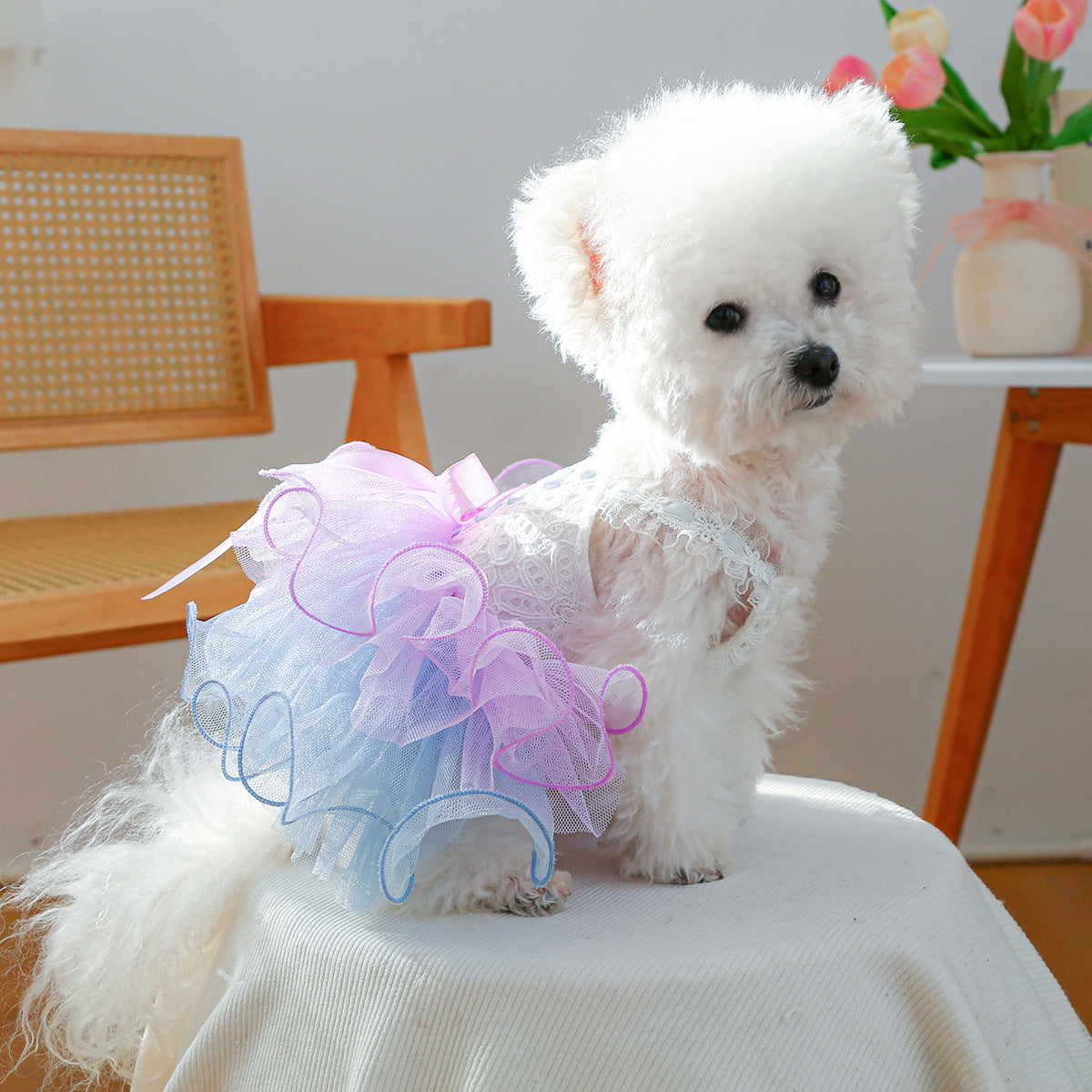 Ombre Tulle Dog Tutu Dress