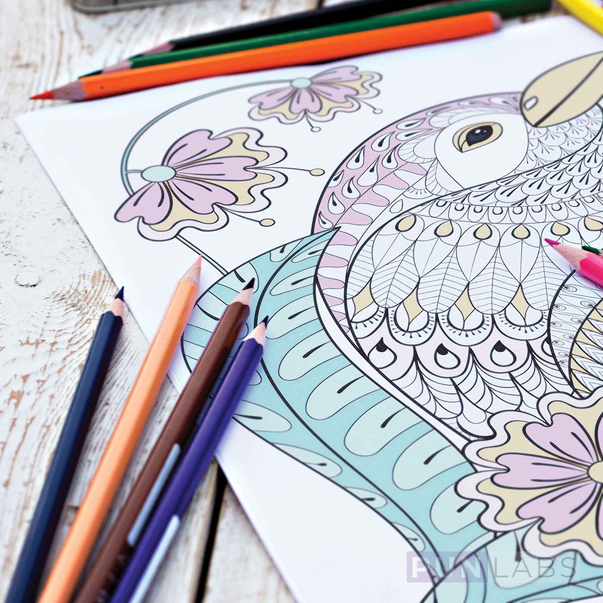 Gotta Catch Them All! Colored Pencil Set for Fans of Pokemon