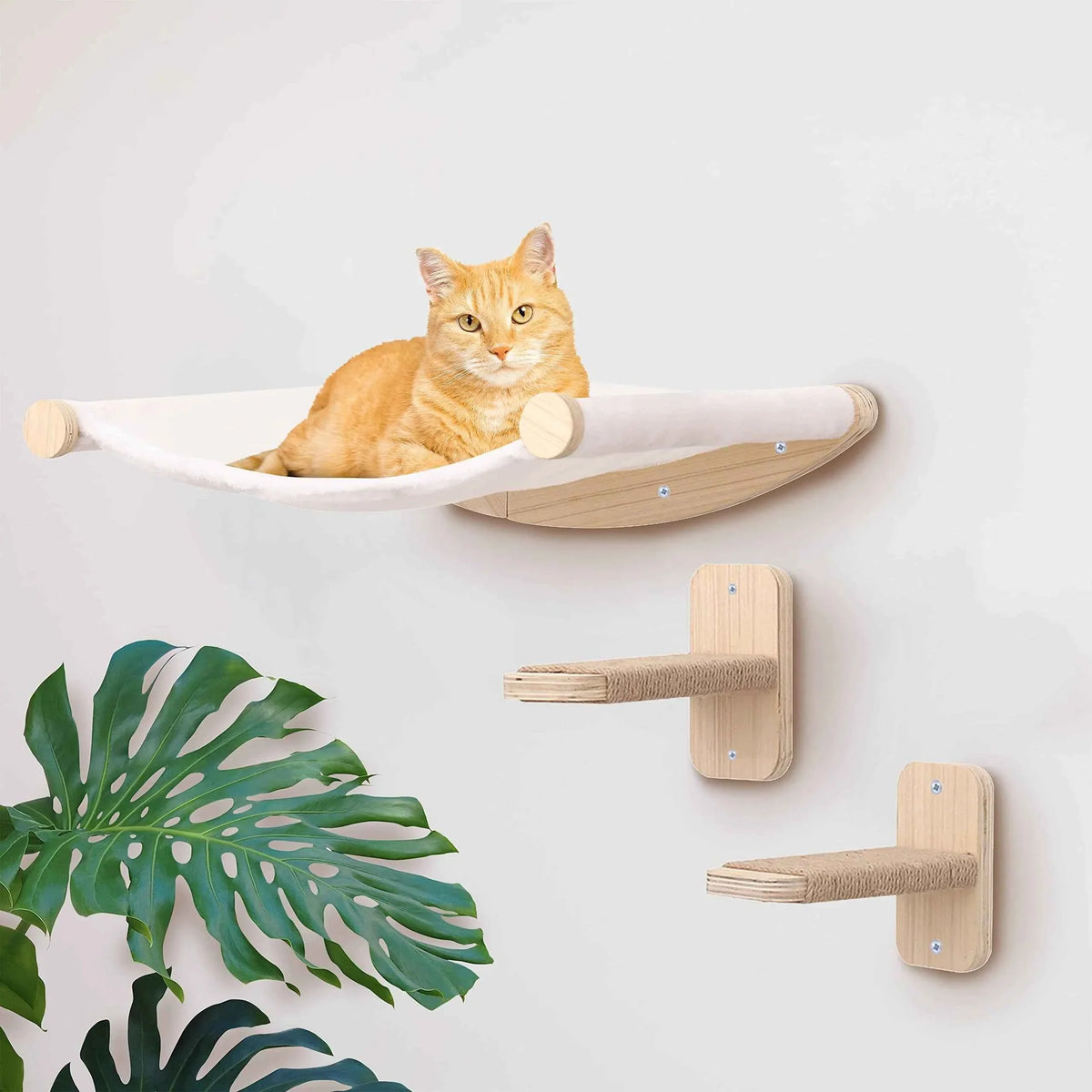 Wall-Mounted Cat Climbing Rope – Solid Wood Pedals & Sisal Scratch Training Toy for Indoor Cats