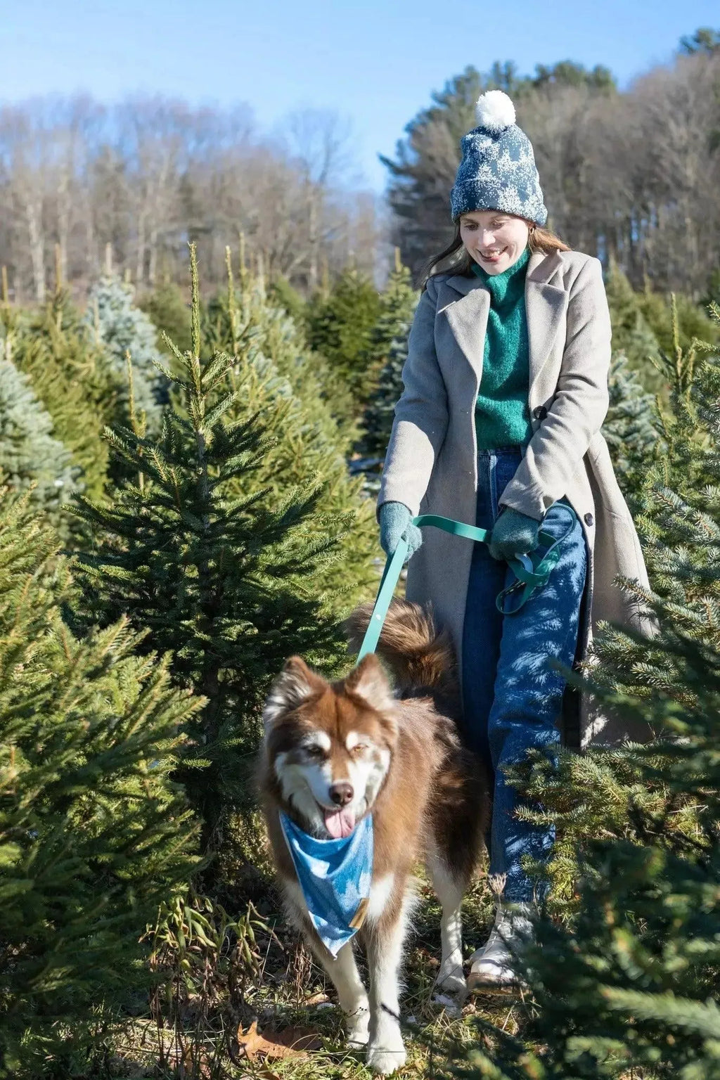 Siberian Spruce Dog Bandana & Matching Keychain