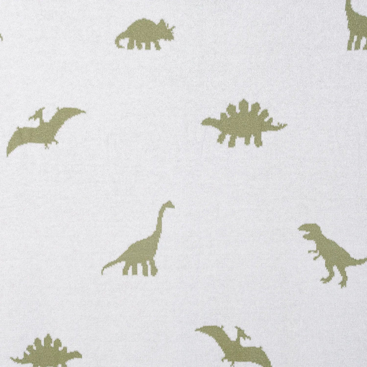 Dinosaur Jacquard Knit Baby Blanket