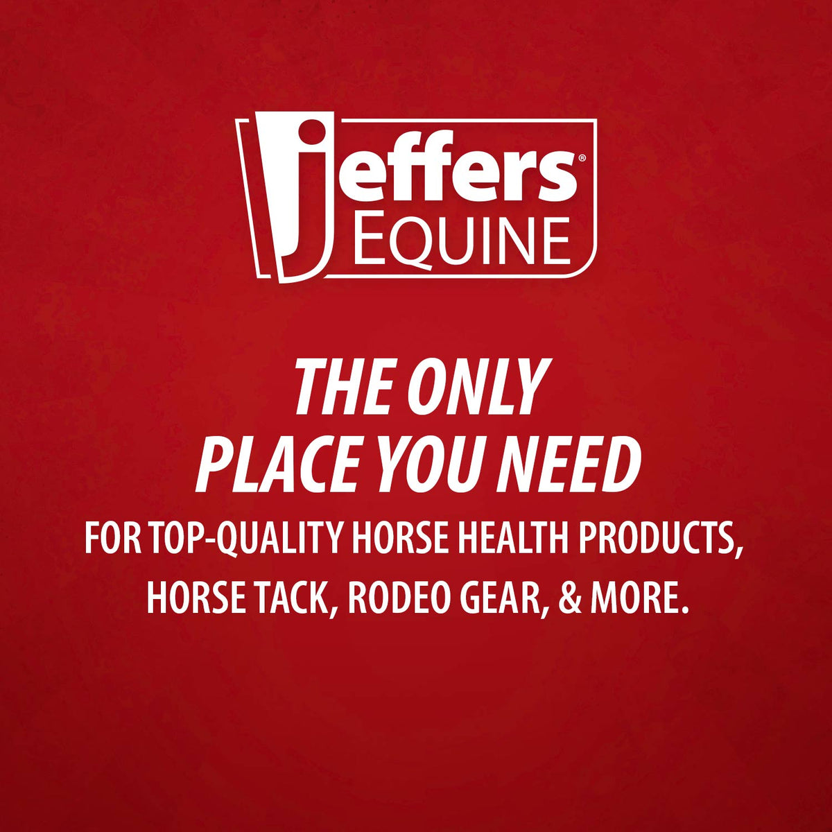 Jeffers Expression Oversized Fleece Throw Blanket